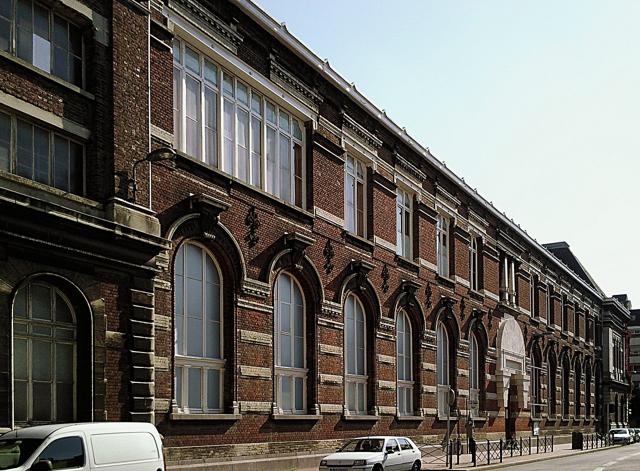 Musée d'Histoire Naturelle de Lille